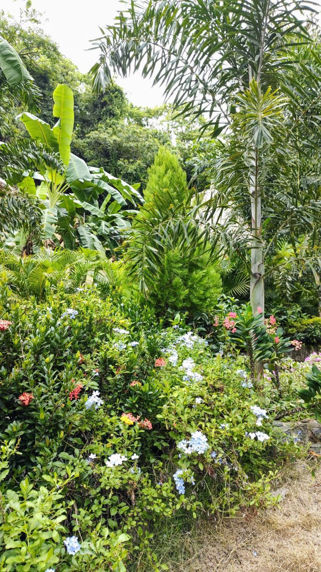 Bed and Breakfast Colibri Parque Tayrona Dentro Del Parque Nacional Tayrona Zaino Exterior foto