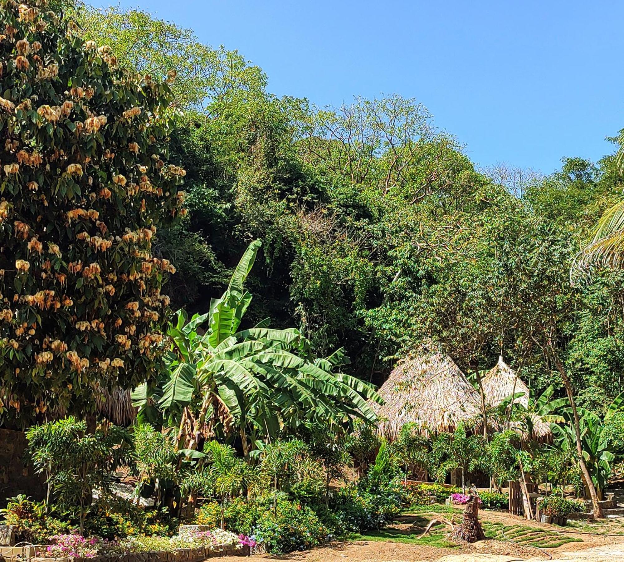Bed and Breakfast Colibri Parque Tayrona Dentro Del Parque Nacional Tayrona Zaino Exterior foto