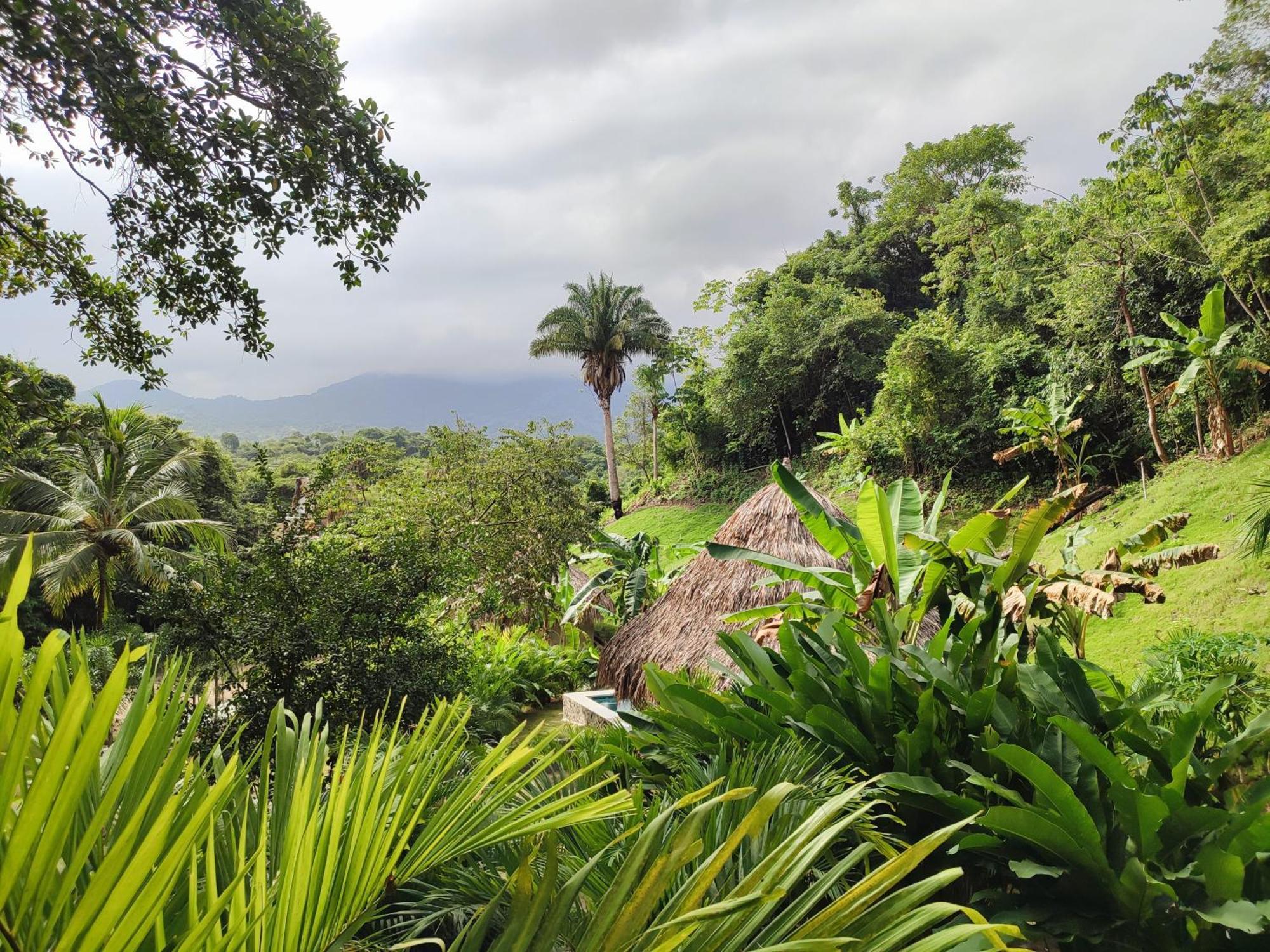 Bed and Breakfast Colibri Parque Tayrona Dentro Del Parque Nacional Tayrona Zaino Exterior foto