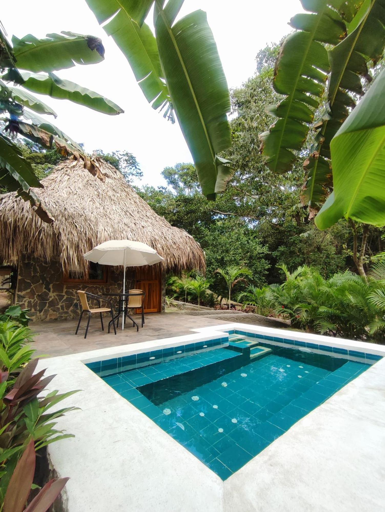 Bed and Breakfast Colibri Parque Tayrona Dentro Del Parque Nacional Tayrona Zaino Exterior foto