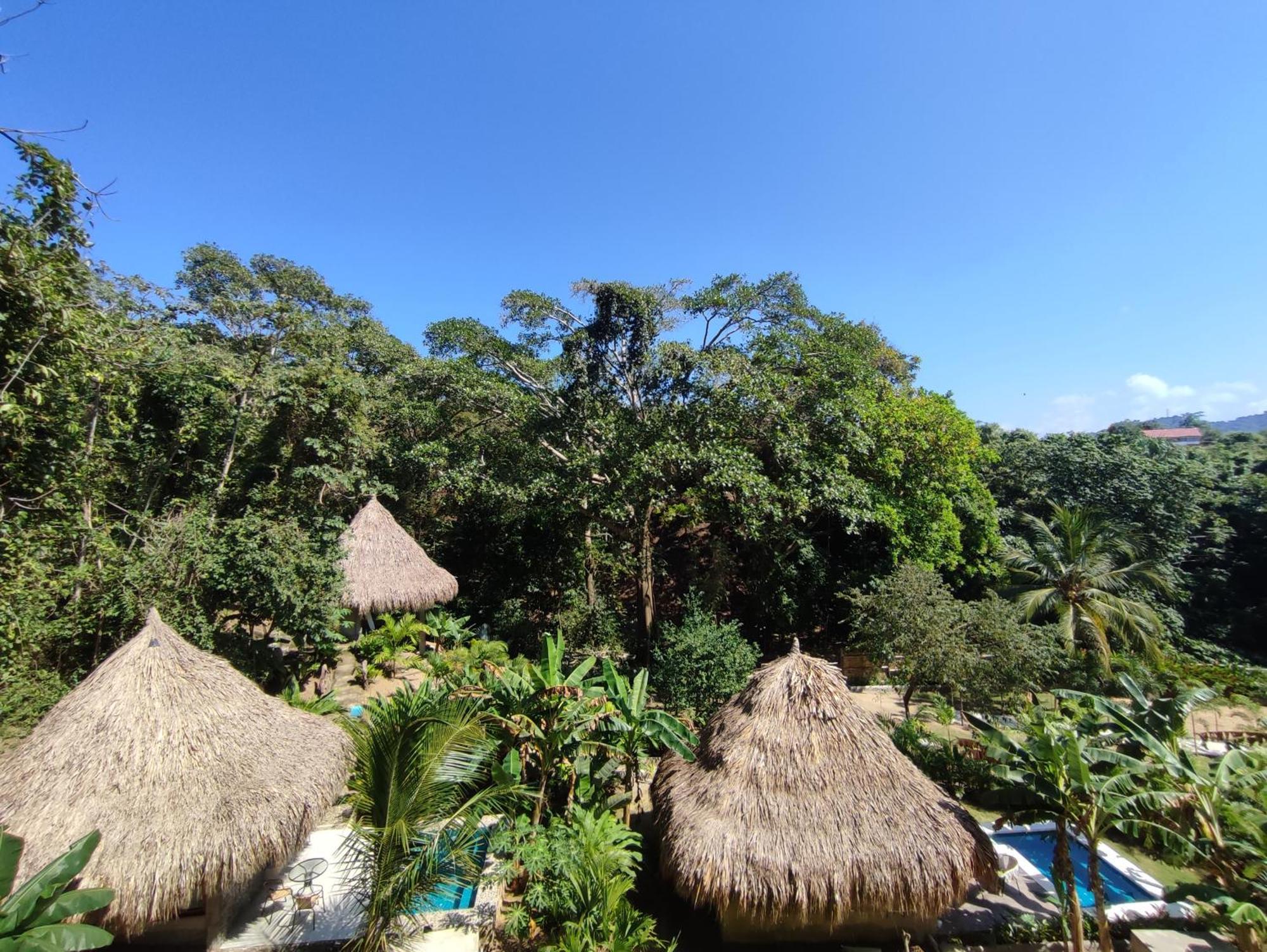 Bed and Breakfast Colibri Parque Tayrona Dentro Del Parque Nacional Tayrona Zaino Exterior foto